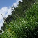 ���� ������ ����������, ����-�����������, 52 ���� - ��������� 11 ������ 2012 � ������ ���� ����������