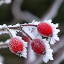 ���� �������, ������-��-����, 61 ��� - ��������� 3 ������ 2013 � ������ ������� ������...�