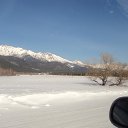 ���� �����, ����-���, 49 ��� - ��������� 20 ������ 2013 � ������ ���� ���� ������