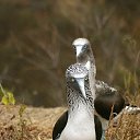 ���� ����, �������� - ��������� 3 ��� 2010 � ������ ��������� ��������