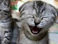 Фото Ирина, Пермь, 49 лет - добавлено 3 ноября 2012