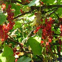 ���� ����, ������ �������� - ��������� 23 ������� 2011 � ������ �������