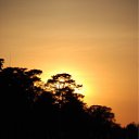 ���� �����, �����-���������, 40 ��� - ��������� 3 ������� 2009 � ������ �������