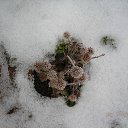 ������� ��������� �� ������� ���� ����������