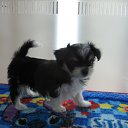 ��� ����� ���������� )) �� ������� ���� ����������