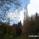  ,  -  26  2013    ""  2013 . 