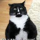 ���� �����, ������ �����, 50 ��� - ��������� 4 ������� 2009 � ������ ��������� ��������