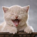 ���������������!!!!!!!!! �� ������� �������