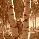 ���� �������, ����� - ��������� 1 ���� 2009 � ������ ���� ����������