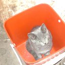 ���� �����, �������, 56 ��� - ��������� 29 ������� 2012 � ������ ������� �������