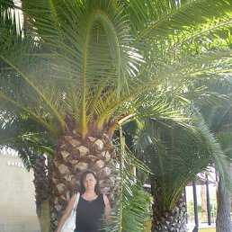 ���� �������, ��������� - ��������� 19 ����� 2013