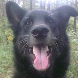 ���� ������ ����������, ����, 70 ��� - ��������� 25 ������� 2011