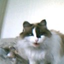 ���� �� ������� ���� ����Ȼ