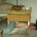 ���� �������, �����������, 64 ���� - ��������� 27 ������� 2013 � ������ ������ �������