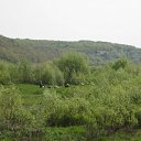  Buzyazya, , 38  -  24  2012     )   