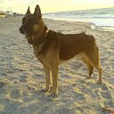 ���� ���������, ��������������, 67 ��� - ��������� 9 ���� 2010 � ������ �� � ��� ����