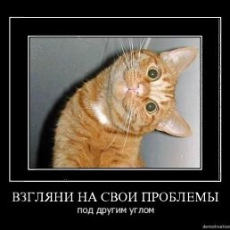 ���� ���� (������), ��������� - ��������� 13 ��� 2010