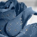 ���� Claire, ������, 86 ��� - ��������� 30 ������ 2009 � ������ ���� ������� ������