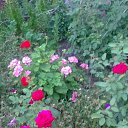 ���� Rina, �������, 39 ��� - ��������� 26 ������ 2010 � ������ ��������