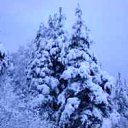 ���� ���������, ���������� - ��������� 10 ������ 2010 � ������ �*** ������� ***�