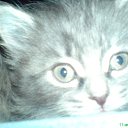 ���� ������, �����������, 36 ��� - ��������� 4 ������ 2010 � ������ ��������� ��� � ���� ������