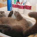 ���� ������, ���������, 47 ��� - ��������� 17 ������ 2012 � ������ ���� ����������