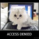  Access_denied,  -  6  2013    