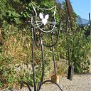 ���� ������, �����������, 52 ���� - ��������� 1 ������ 2011