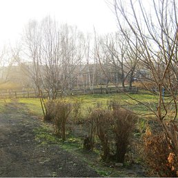 ���� ��������, �������, 48 ��� - ��������� 27 ������� 2012