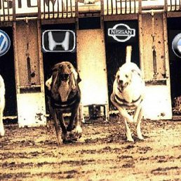 H, �������, 39 ���