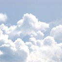 ���� �������, ������� - ��������� 24 ������ 2010 � ������ �������