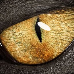 ���� �ak, ������, 59 ��� - ��������� 23 ������� 2013