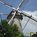 ,    Niderlandi