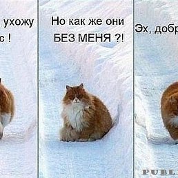 ���� ������, ������-��-����, 51 ��� - ��������� 11 ������ 2012