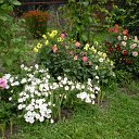 ���� �����, ������ - ��������� 9 ����� 2010 � ������ ���� ������