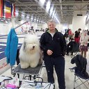  , -, 60  -  20  2013    