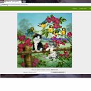 ���� ������, ���������, 41 ��� - ��������� 18 ������ 2011 � ������ ������ ����� �������