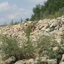  , , 41  -  23  2010   ~   ~