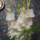 ���� ������, ������, 69 ��� - ��������� 25 ������� 2012 � ������ �������