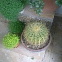 ���� �������, �������, 59 ��� - ��������� 16 �������� 2011 � ������ �������