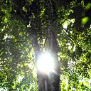 ��������� ����... �� ������� ����λ