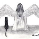 ���� �����, �����������, 35 ��� - ��������� 8 ���� 2010