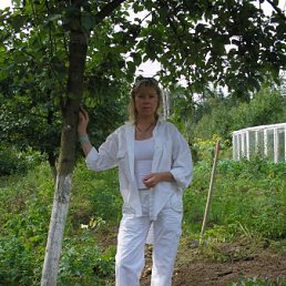 �����, ��������, 67 ���