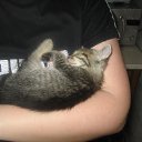   , , 45  -  23  2011   2