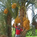 ���� Moamen, ����, 49 ��� - ��������� 23 ���� 2013 � ������ ���� ����������