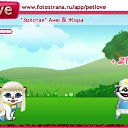 ���� ����, ������� - ��������� 10 �������� 2010 � ������ �PetLove�