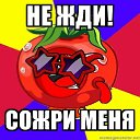 ���� ����, ���, 31 ��� - ��������� 12 ������ 2011 � ������ ���� ���������