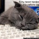 ���� I Rishka I Graiu, ���� - ��������� 17 ������ 2009 � ������ �@~$~@~$~@�