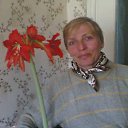 ���� Nata, �����, 56 ��� - ��������� 14 ���� 2013