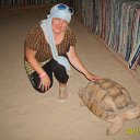 ���� ���������, ������� - ��������� 22 ������� 2012 � ������ ���� ����������